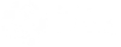 Brain Tumour Research logo